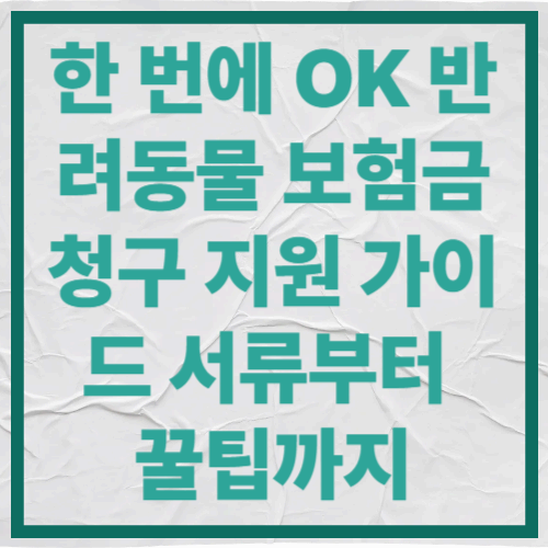 한 번에 OK 반려동물 보험금 청구 지원 가이드
서류부터 꿀팁까지