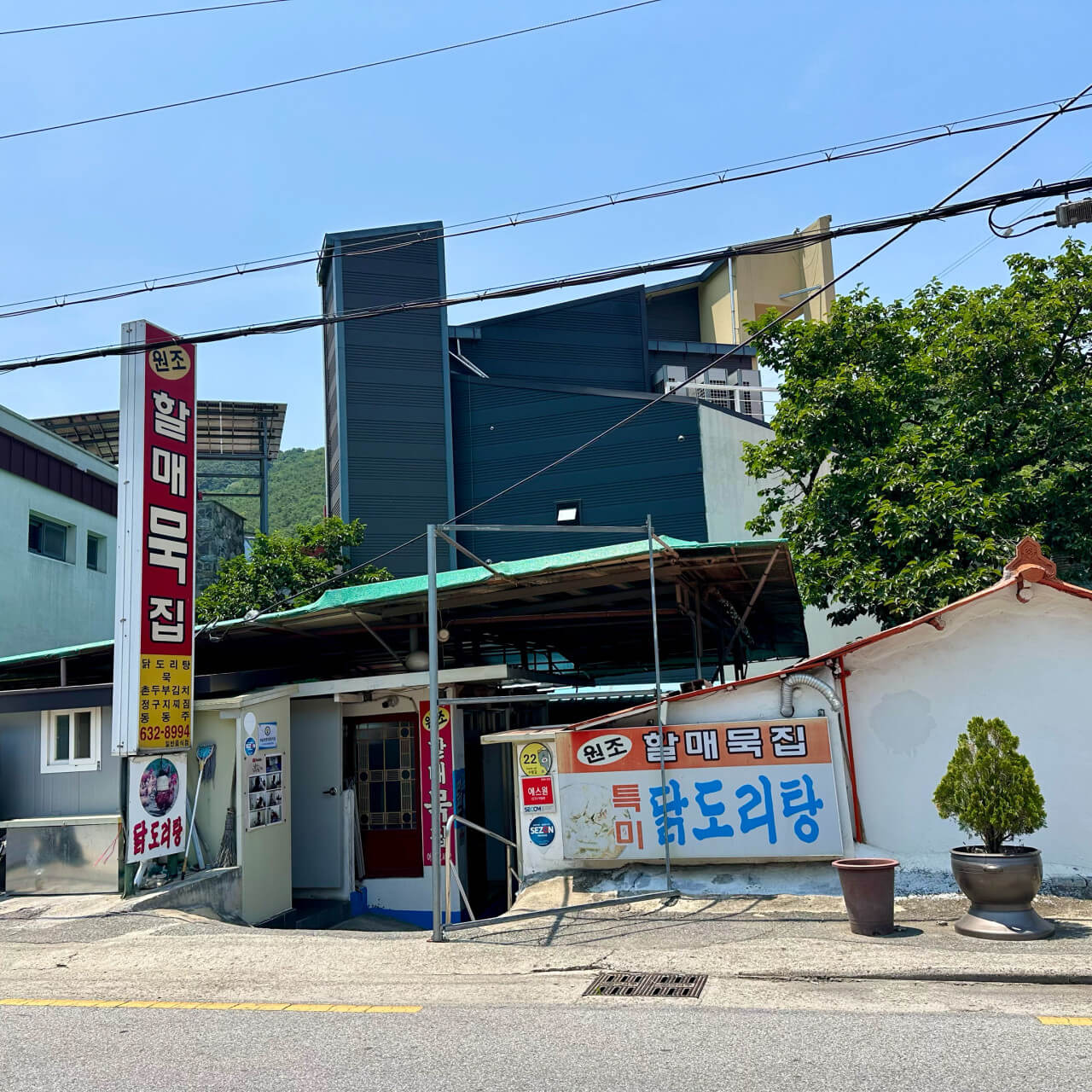 전현무계획2 32회 - 48번째 길바닥 미식의 도시 ‘대구’ 편 메밀묵밥 맛집 할매묵집