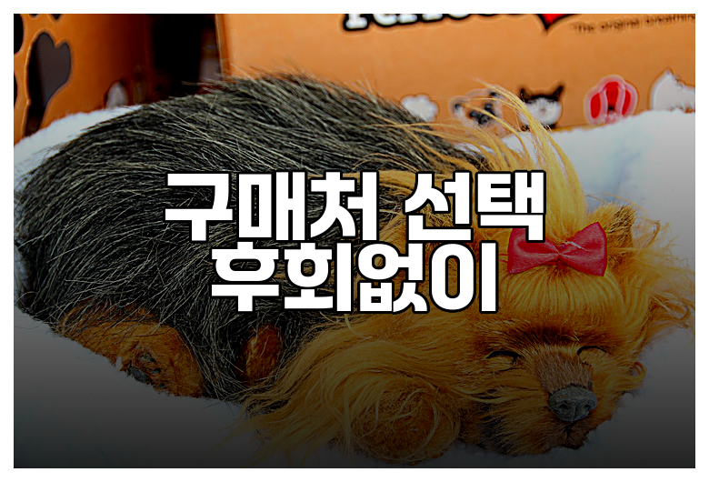 구매처 선택 후회없이