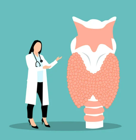 고양이 갑상선 기능 항진증 원인&amp;#44; 증상&amp;#44; 수치 및 관리법 총정리