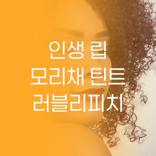 인생 립 컬러 찾기 모리채 립타투 틴