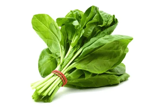 혈압 낮추는 음식