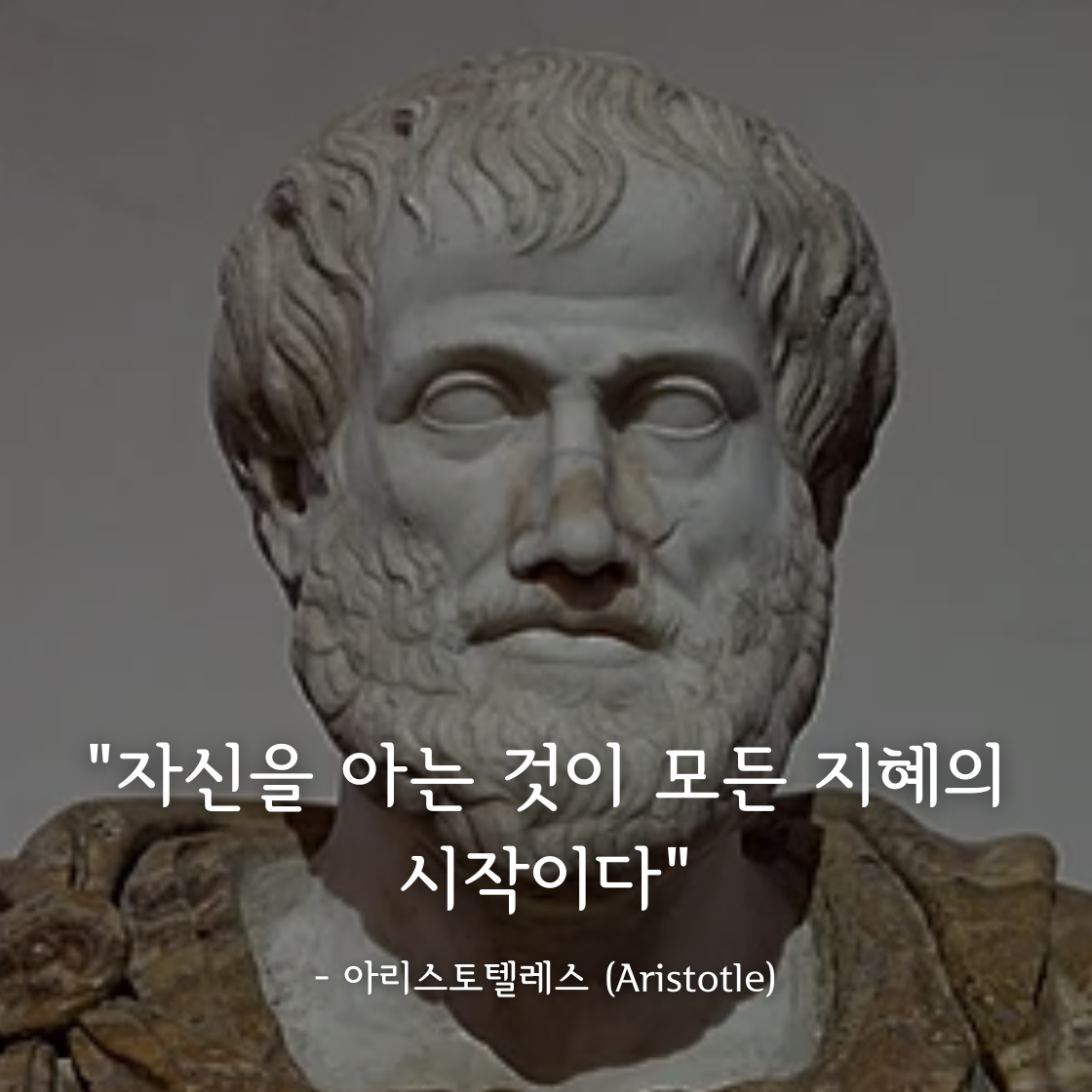 아리스토텔레스 (Aristotle)