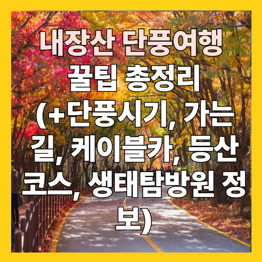 내장산 단풍시기 , 가는 길, 케이블카 , 등산코스 , 생태탐방원 총정리
