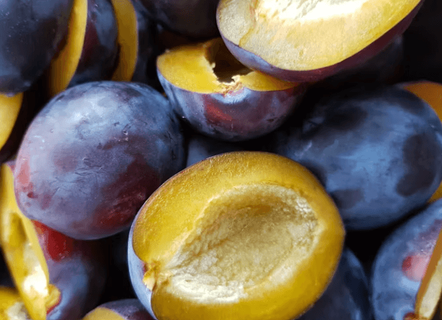 푸룬의 숨겨진 효능: 뼈 건강/콜레스테롤 개선