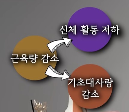 근육량 감소의 영향