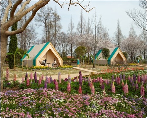 순천 정원박람회 입장료