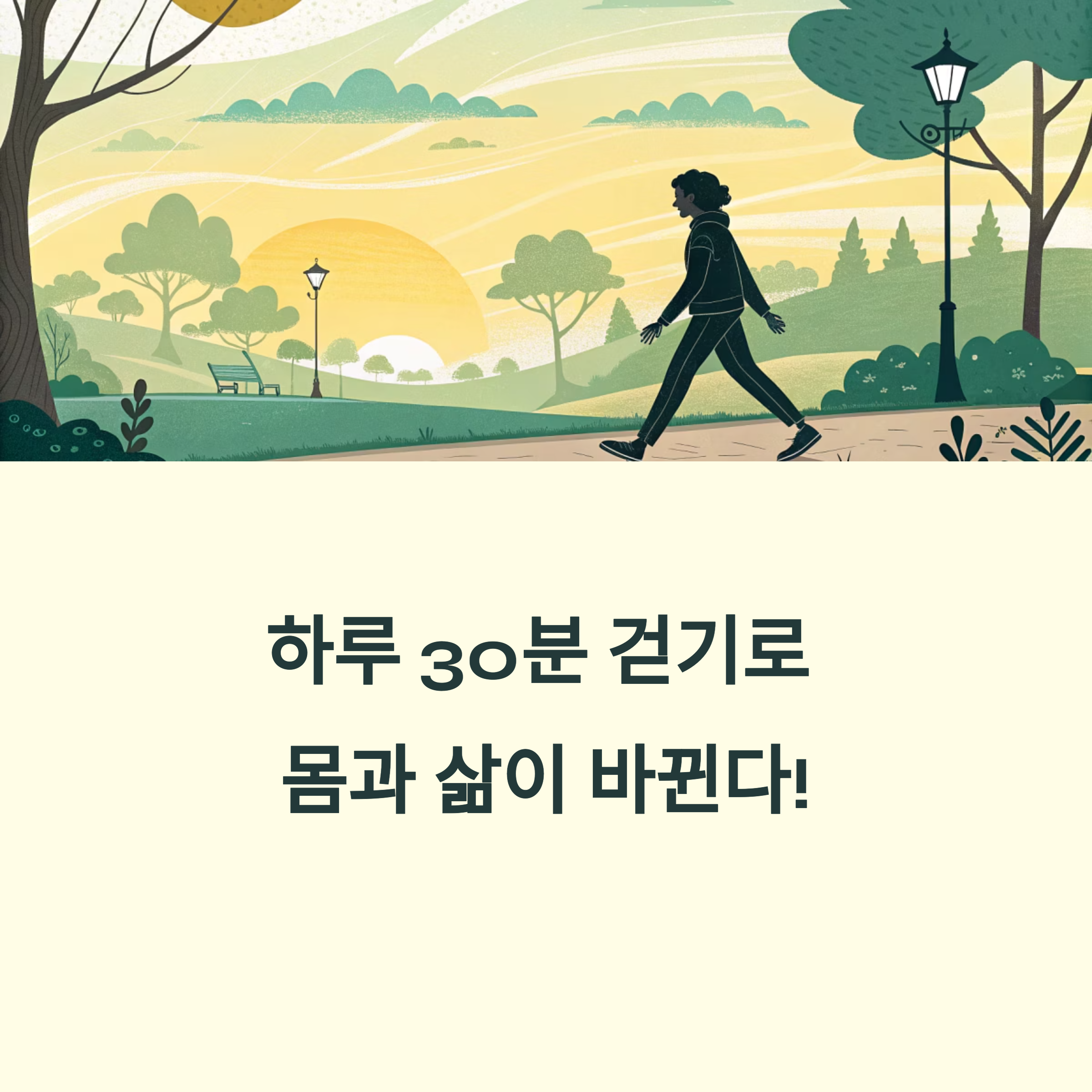 걷기만 해도 몸과 삶이 달라진다