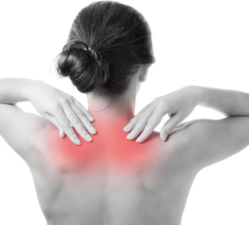 도수치료 실비보험