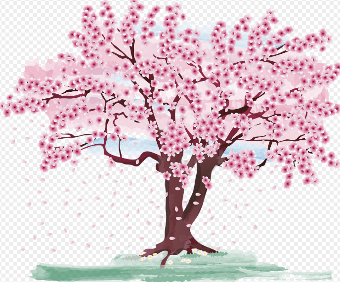 하동 십리벚꽃길 실시간 개화정보