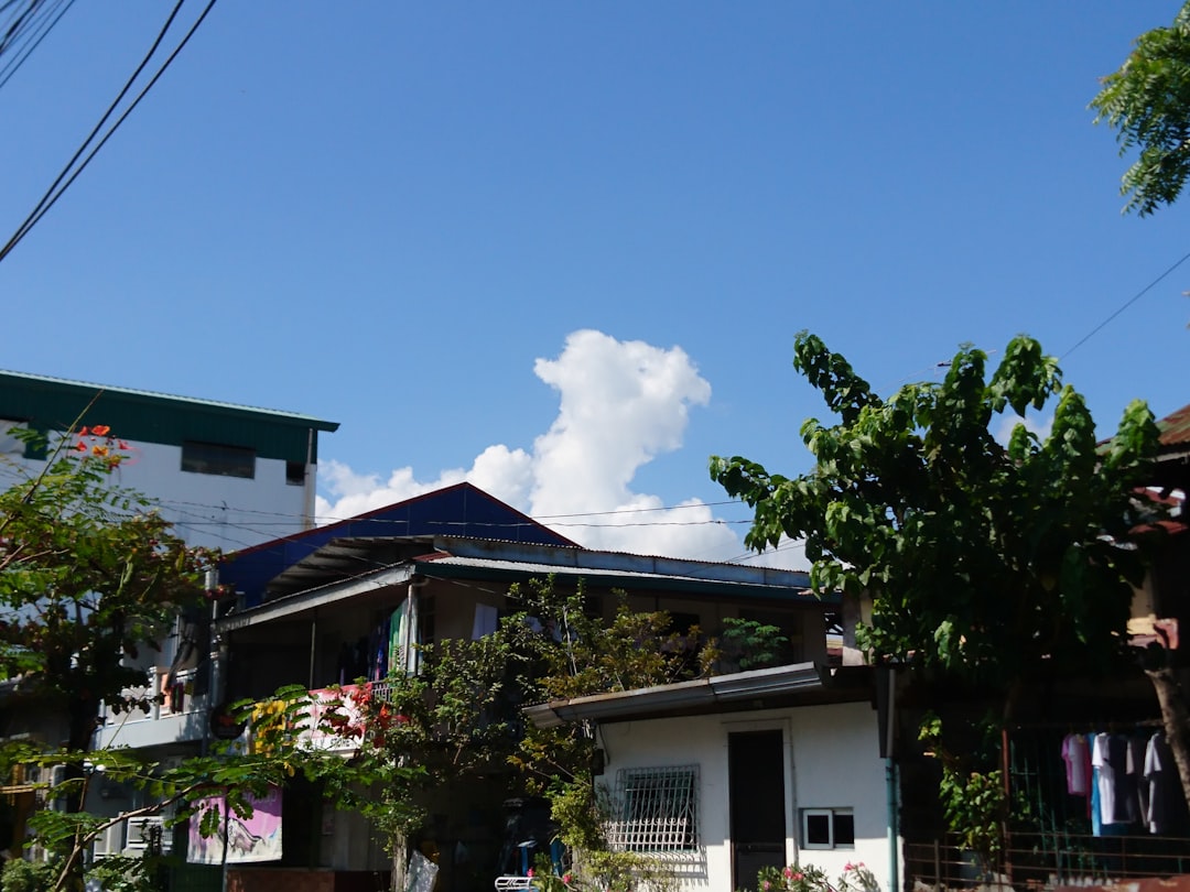Arirang