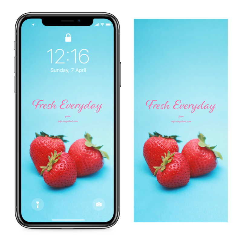 06 딸기 C - Fresh Everyday 아이폰봄배경화면