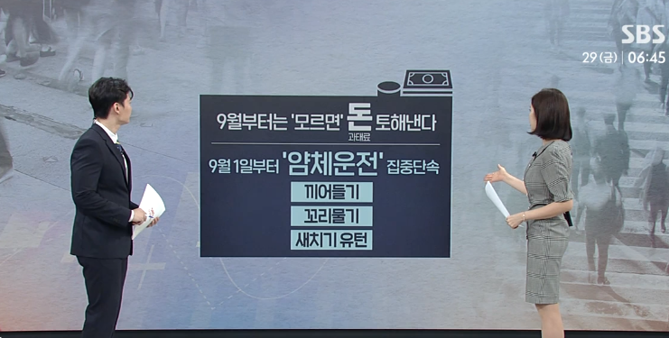 (출처: SBS NEWS)