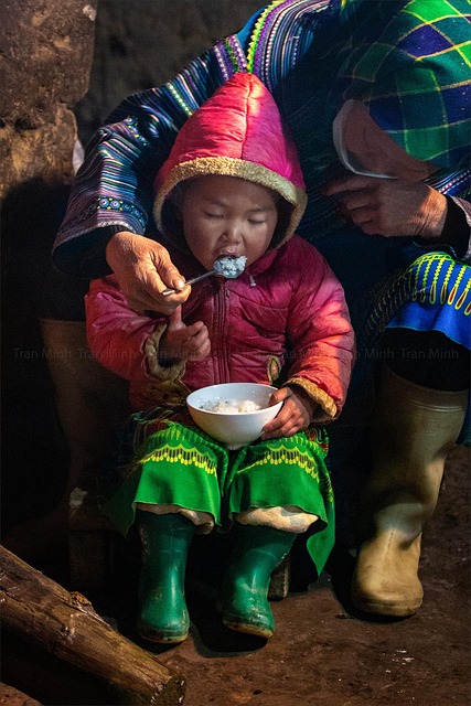 눈 시력 좋아지는 음식