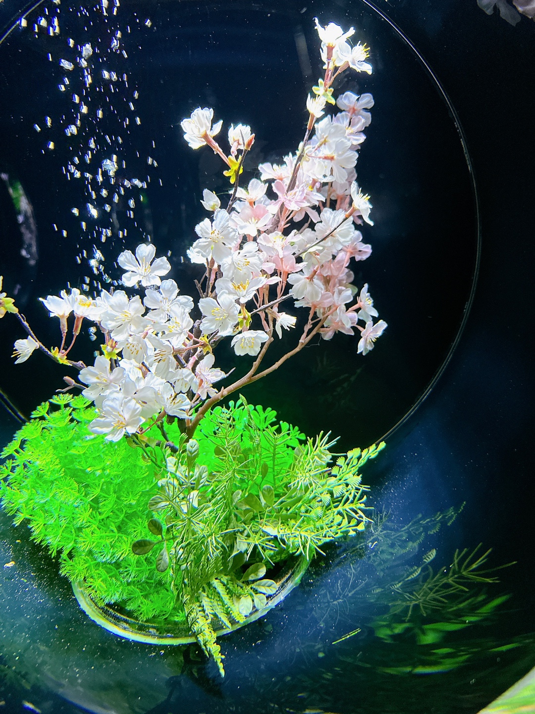 도쿄여행지추천