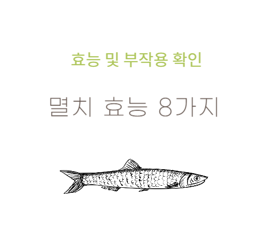 멸치효능,부작용