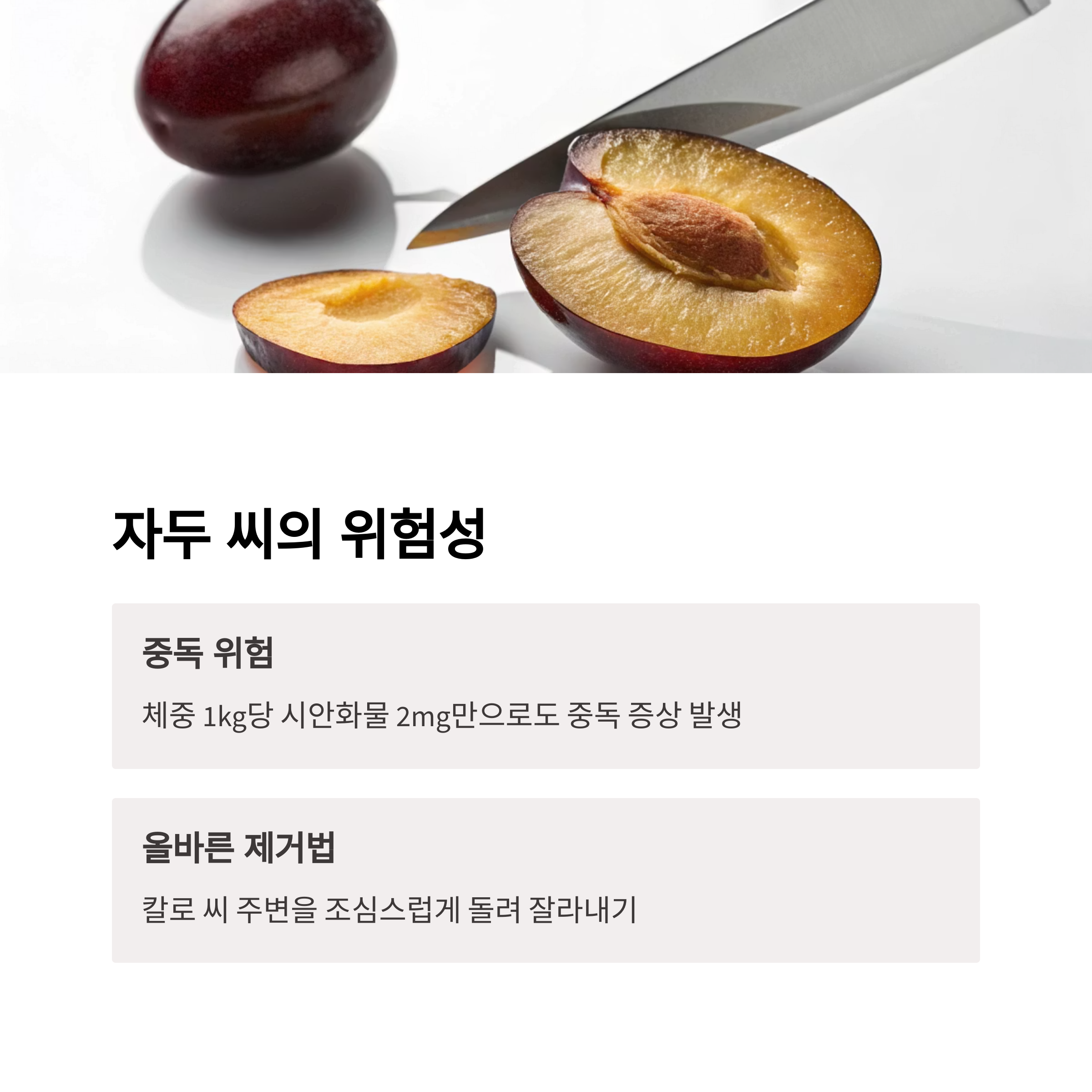 자두 씨의 위험성
