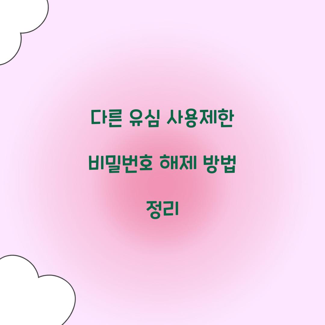 다른 유심 사용제한 비밀번호