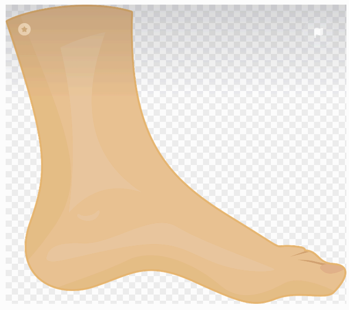 발목관절 외측인대 손상 물리치료