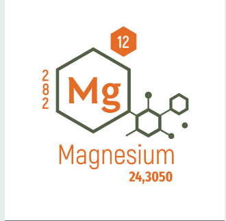 마그네슘 부족현상 7가지