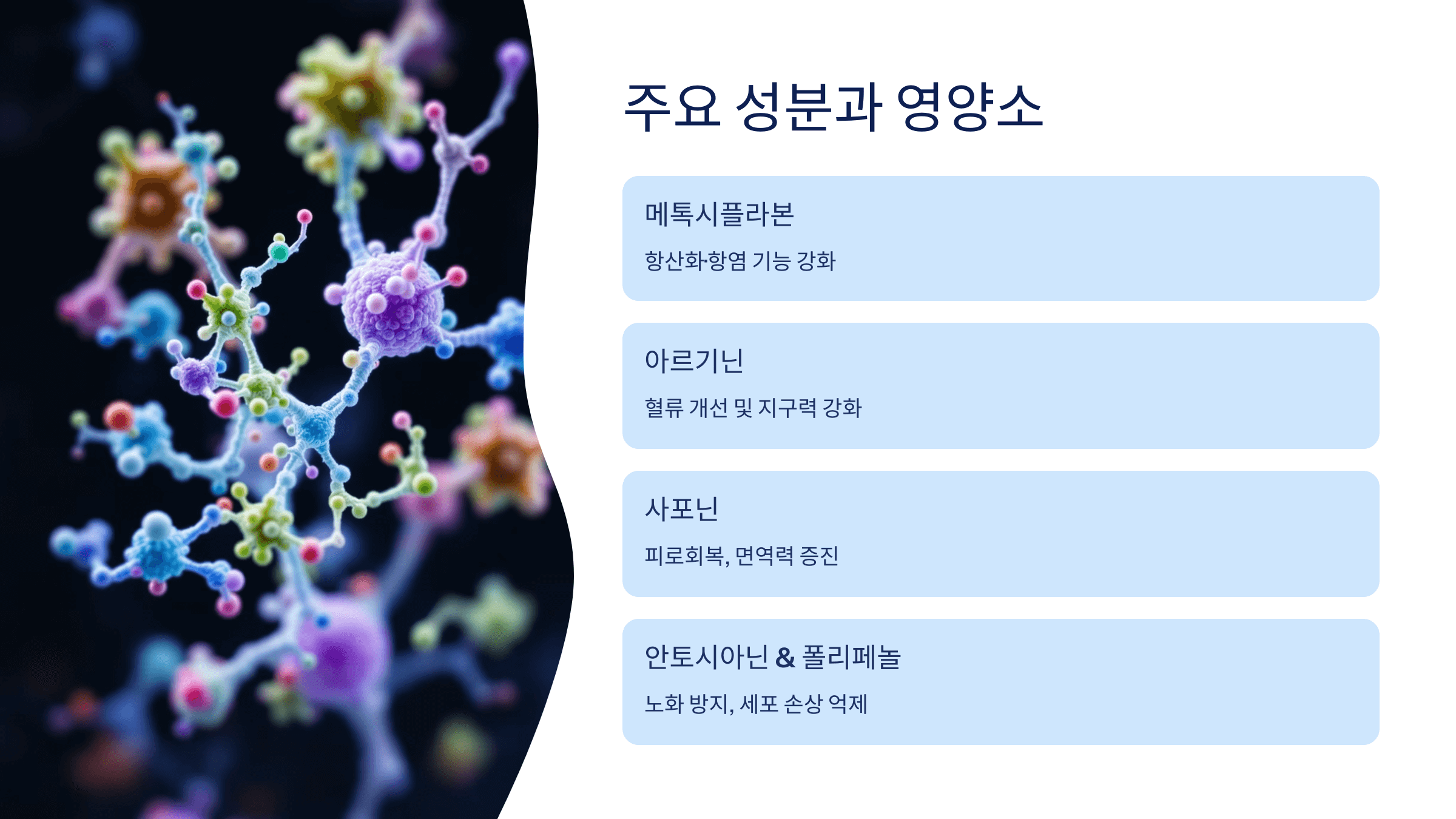 파비플로라 사진입니다.
