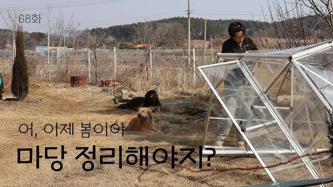 봄 텃밭 준비 토양 갈기 석회 퇴비 잡초 씨 제거_4