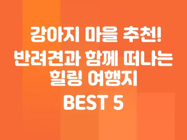 강아지 마을 추천! 반려견과 함께 떠나는 힐링 여행지 BEST 5