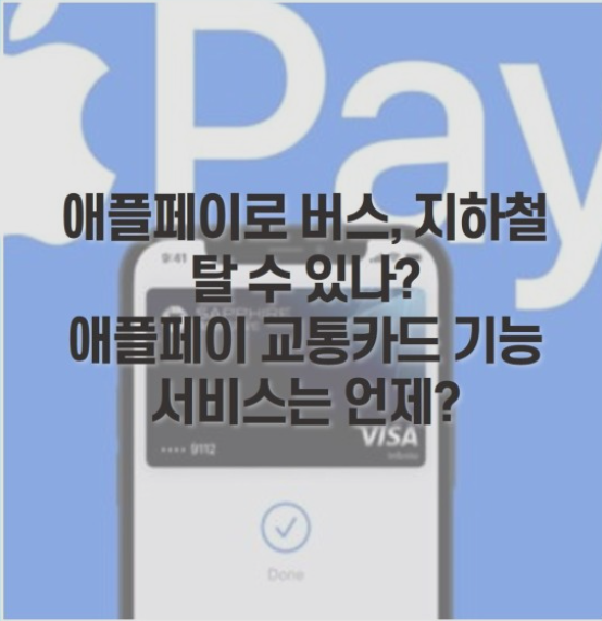 아이폰-티머니출시