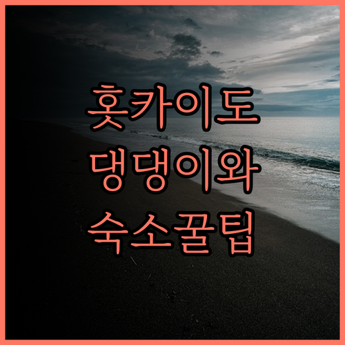 댕댕이와 함께하는 홋카이도 여행! 5