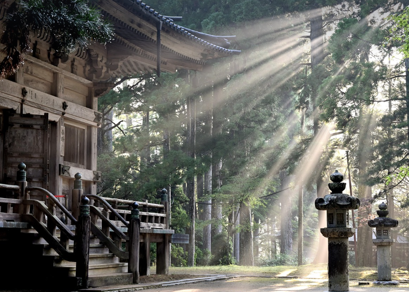 쇼인즈쿠리, 스키야즈쿠리, 게야