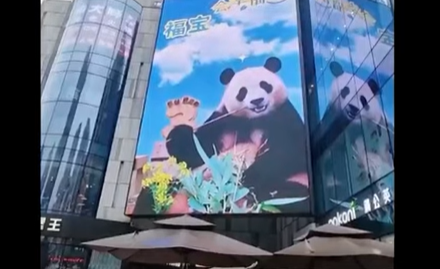 푸바오 환영 중국 매체