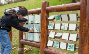 2024 궁중문화축전 궁패스 예약 기본정보 총정리