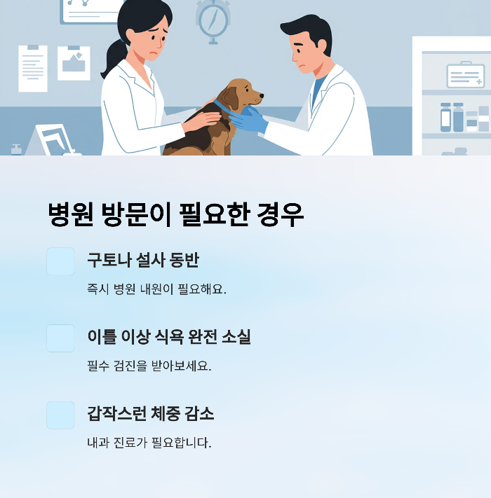 강아지 사료 안먹을때
