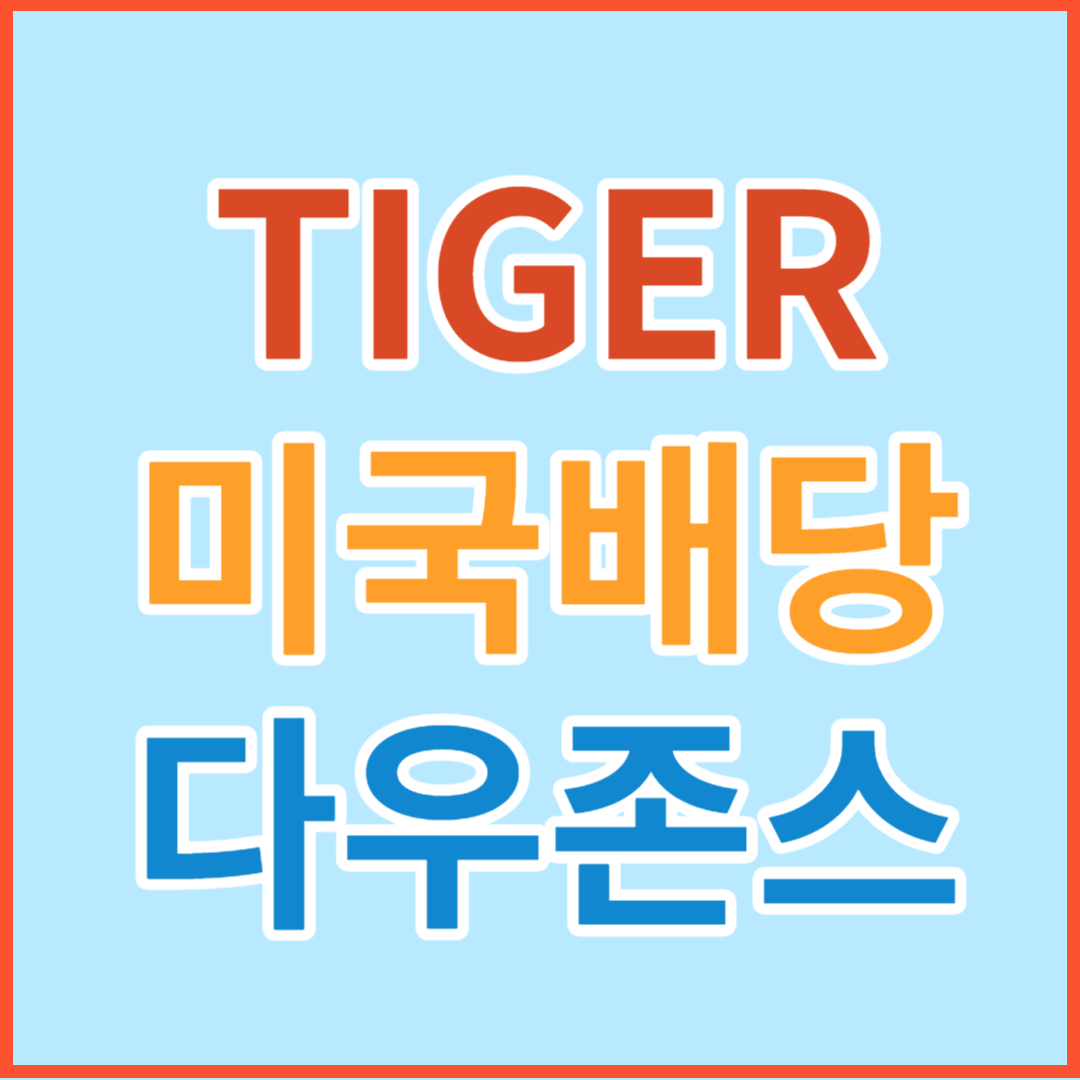 미국배당 다우존스