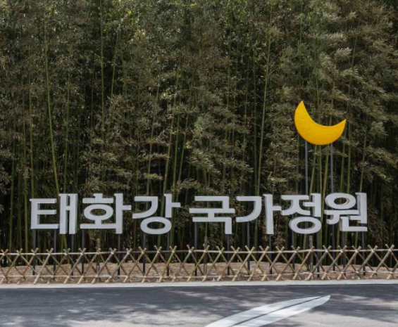 5월꽃구경 가볼만한 곳