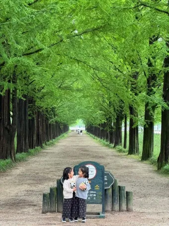 담양 맛집 베스트10 진짜 현지인만 아는곳_4