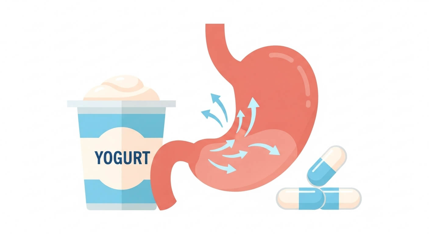 유산균: 눈에 보이지 않는 건강 파수꾼