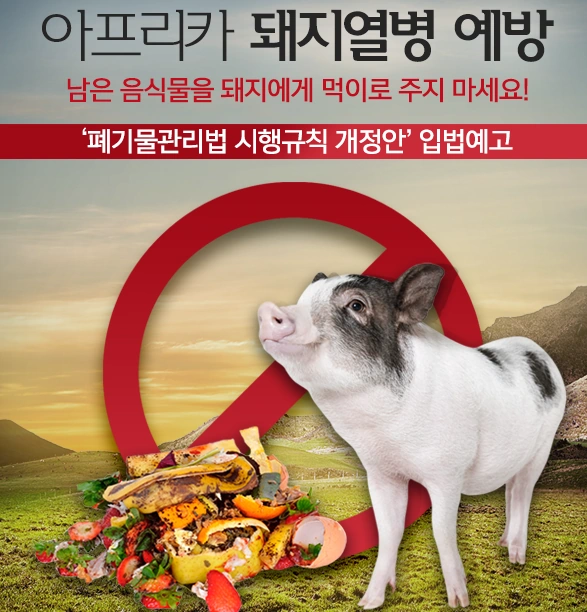 아프리카 돼지열병