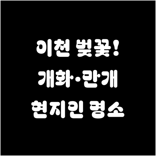 2026년 이천 벚꽃 개화 시기 및 ..