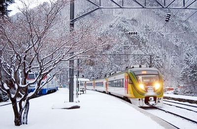 태백산 눈꽃축제 기차여행