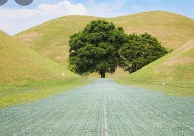 가을에 꼭 가봐야할 경주여행 BEST 5