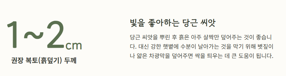 7월에 심는 밭작물