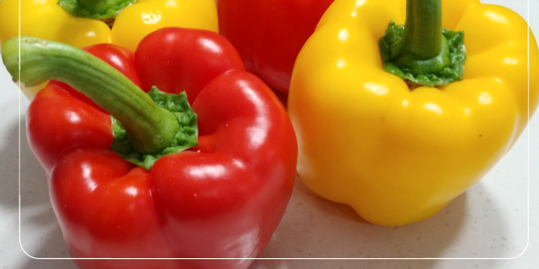 철분 부족 혈액량 부족을 위한 필수 영양소7