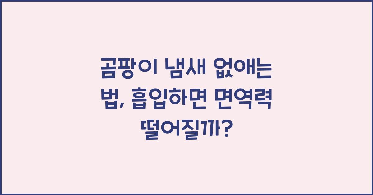 곰팡이 냄새 없애는 법, 곰팡이 흡입하면 면역력 떨어질까?