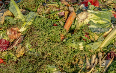 제로 웨이스트 음식 문화: 남은 음식을 재탄생시키다