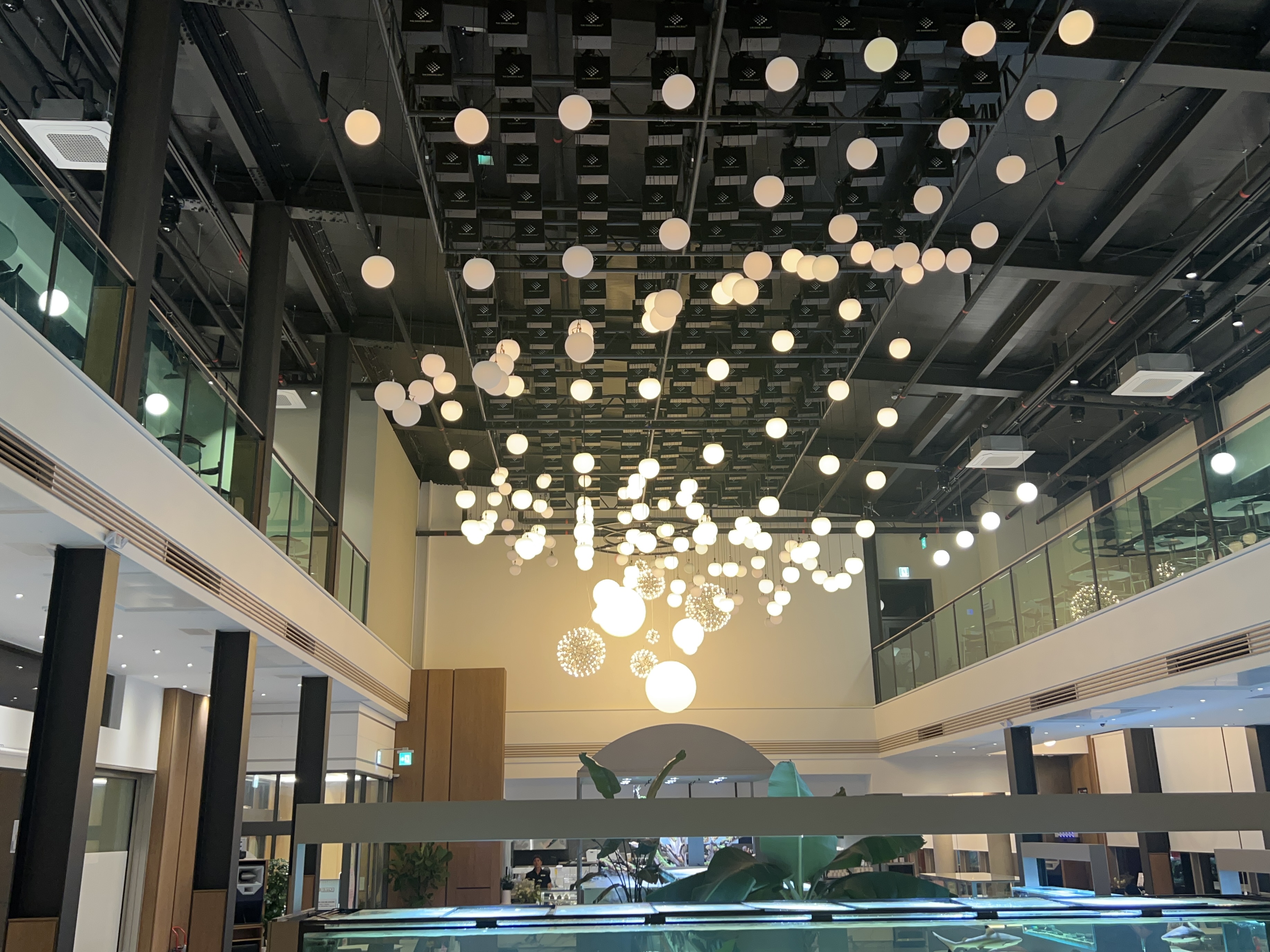 담양 카페 더 하루 키네틱 조명쇼사진