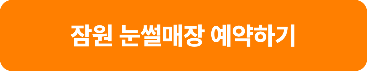 잠원눈썰매장예약