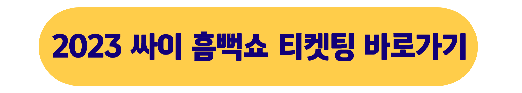 싸이 흠뻑쇼 티켓팅