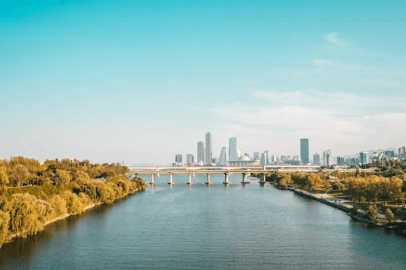 웨스틴 서울 파르나스: 강남 웰니스 호캉스&#44; 이것만 알면 성공!