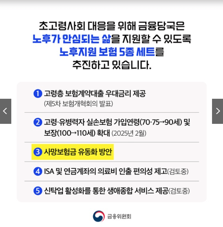 사망보험금 유동화정책